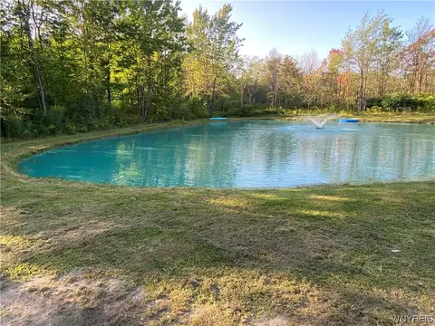 4685 Poplar Tree Rd, Wethersfield, NY 14066 photo 30