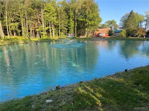 4685 Poplar Tree Rd, Wethersfield, NY 14066 photo 33