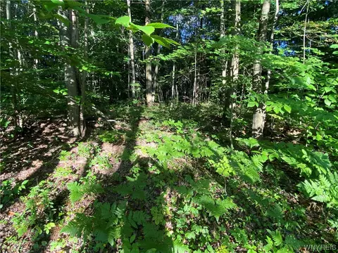 4685 Poplar Tree Rd, Wethersfield, NY 14066 photo 49