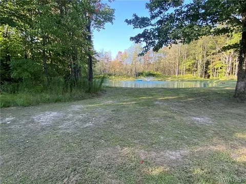 4685 Poplar Tree Rd, Wethersfield, NY 14066 photo 28