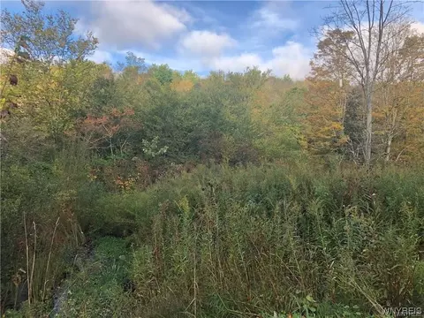 5717 Plum Brook Rd, Great Valley, NY 14741