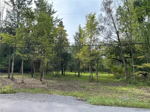 Vl Billington Rd, Elma, NY 14052