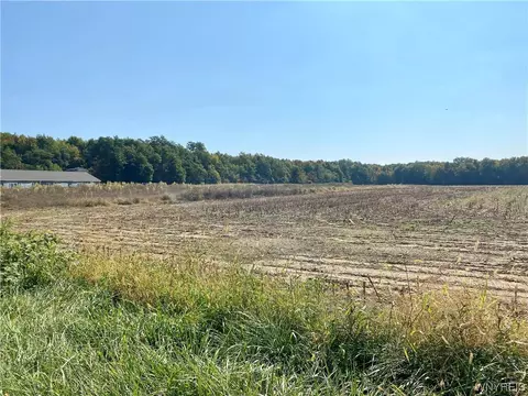 V/l Langford Road, North Collins, NY 14111