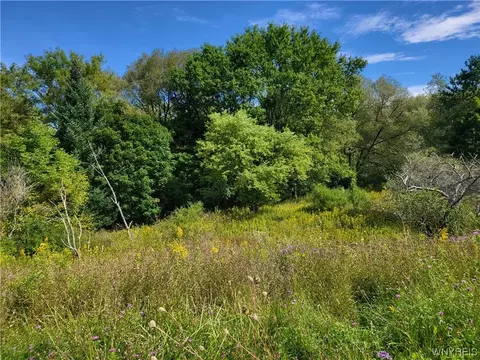 7 5 Acres Abbott Rd, Lyndon, NY 14738