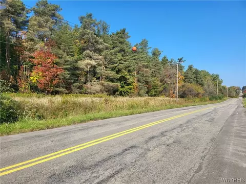 5 7 Acres Warner Gulf Rd, Sardinia, NY 14055