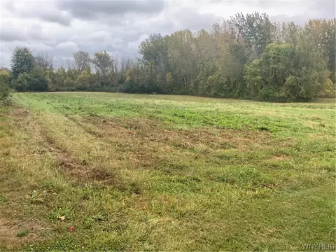 00 Bates Rd, Ridgeway, NY 14103 photo 3