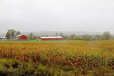 14212-1 Us 219, Ashford, NY 14171