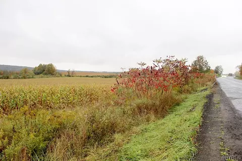 Vl 2 Route 219, Ashford, NY 14171