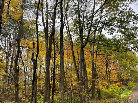 4173 Acme Rd, Cuba, NY 14727