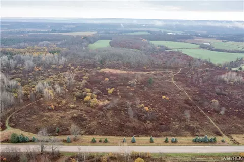 Vl Newcomb Road, Pike, NY 14130