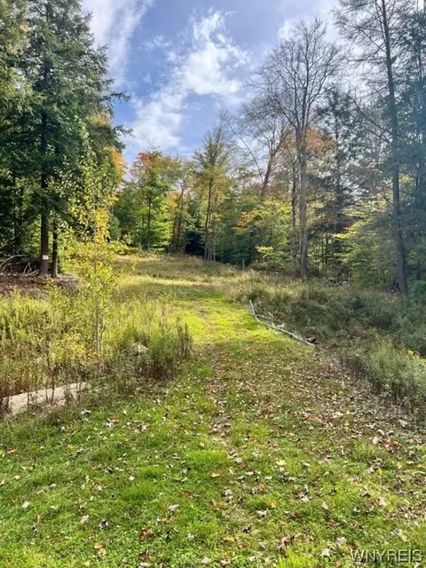 6899 Stone Rd, Great Valley, NY 14741