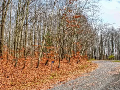 6864 Ridge Rd, Ellicottville, NY 14731