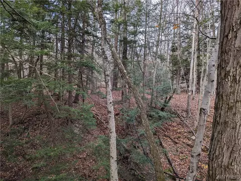 0 Vandermark Rd, Scio, NY 14880 photo 25