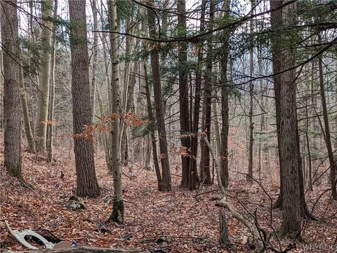 0 Vandermark Rd, Scio, NY 14880 photo 22