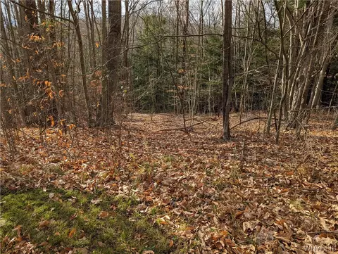 0 Vandermark Rd, Scio, NY 14880 photo 19