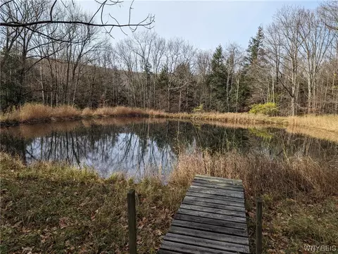 0 Vandermark Rd, Scio, NY 14880 photo 2