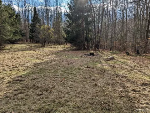 0 Vandermark Rd, Scio, NY 14880 photo 20