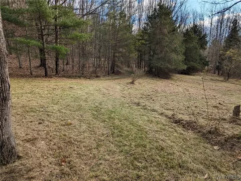 0 Vandermark Rd, Scio, NY 14880 photo 17