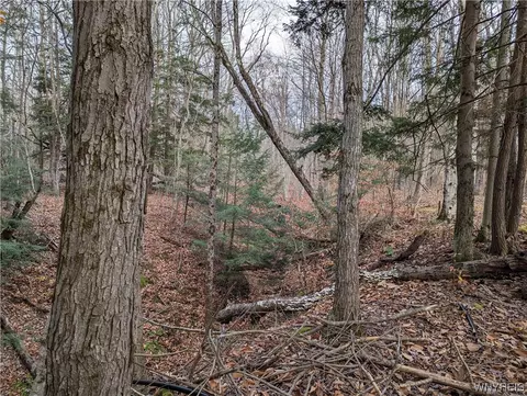 0 Vandermark Rd, Scio, NY 14880 photo 23