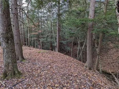 0 Vandermark Rd, Scio, NY 14880 photo 24