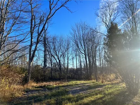 Vl Eisenhower Avenue, Evans, NY 14006