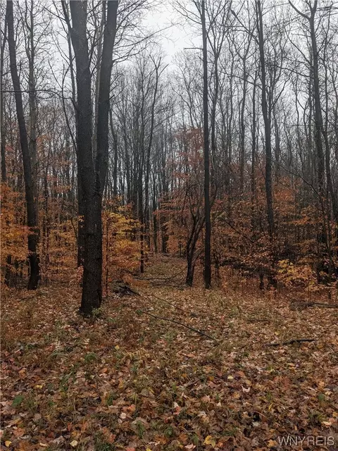 Vl W Branch Road, Farmersville, NY 14060