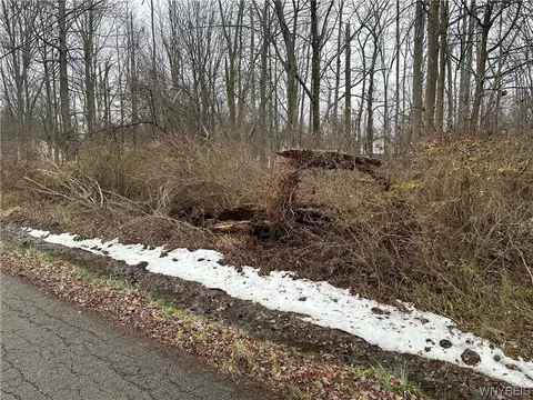 V/l Long Beach Lane, Evans, NY 14006