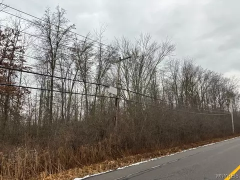 Vl Love Road, Grand Island, NY 14072