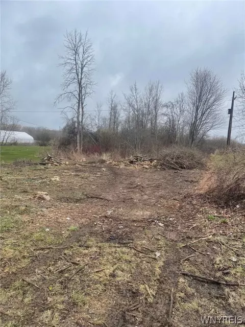 6064 Robinson Rd, Pendleton, NY 14094 photo 6