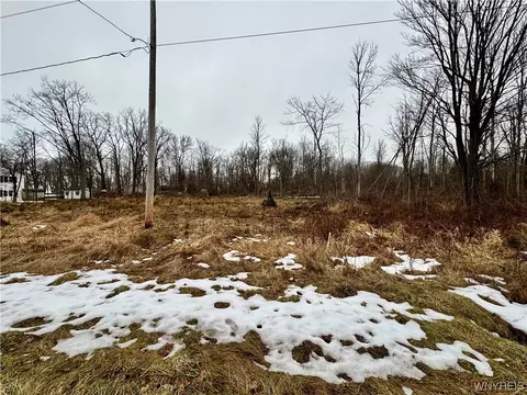 Vl Larkin Road, Evans, NY 14006 photo 5