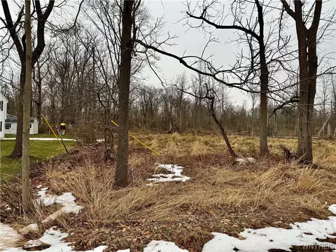 Vl Larkin Road, Evans, NY 14006 photo 8