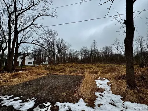 Vl Larkin Road, Evans, NY 14006 photo 3