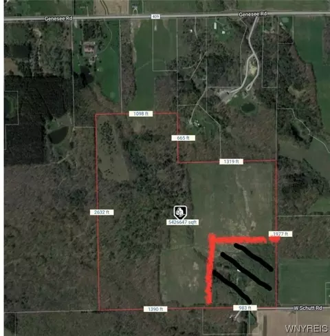 12450 W Schutt Rd, Sardinia, NY 14030
