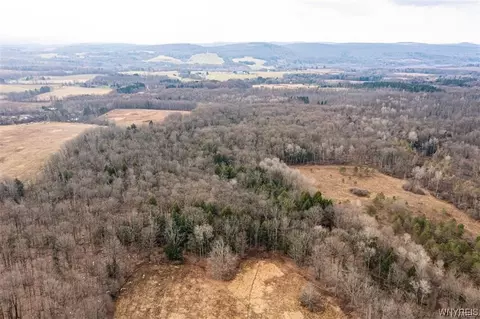 12450 W Schutt Rd, Sardinia, NY 14030 photo 3