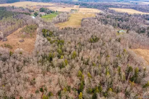 12450 W Schutt Rd, Sardinia, NY 14030 photo 4
