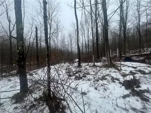 0 Five Mile Rd, Ischua, NY 14743