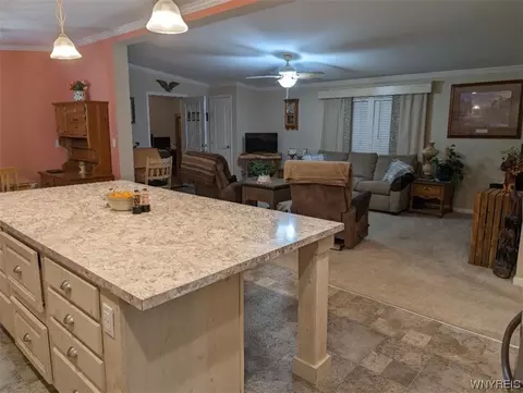 406 Carter Ln, Arcade, NY 14009 photo 9