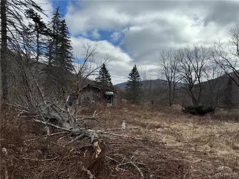 5979 Nys Route 16, Ischua, NY 14743
