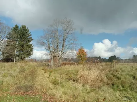 3236 Moon Rd, Ellicott, NY 14701