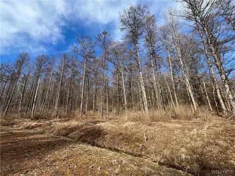 Tbb Lot #23 42 Degrees North, Ellicottville, NY 14731