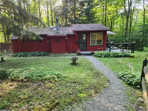 58 Maple Ln, Sheldon, NY 14167