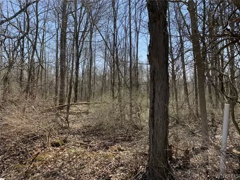 1003 Backus Rd, Evans, NY 14047