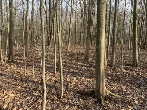 585 Madison Ave, Evans, NY 14006