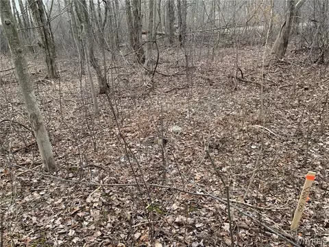 603 Kennedy Ave, Evans, NY 14006 photo 3