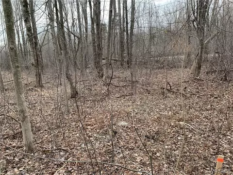 603 Kennedy Ave, Evans, NY 14006 photo 5