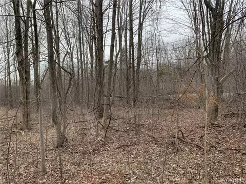 603 Kennedy Ave, Evans, NY 14006 photo 6