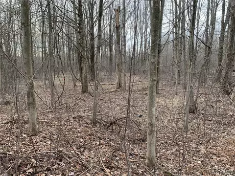 603 Kennedy Ave, Evans, NY 14006 photo 2
