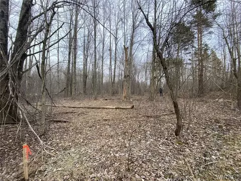 603 Kennedy Ave, Evans, NY 14006 photo 4