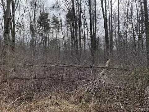 603 Kennedy Ave, Evans, NY 14006 photo 9