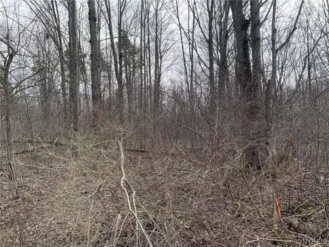 603 Kennedy Ave, Evans, NY 14006 photo 10